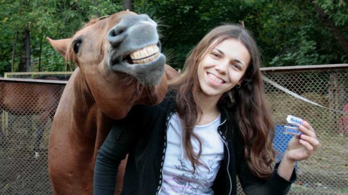 Смешная лошадь