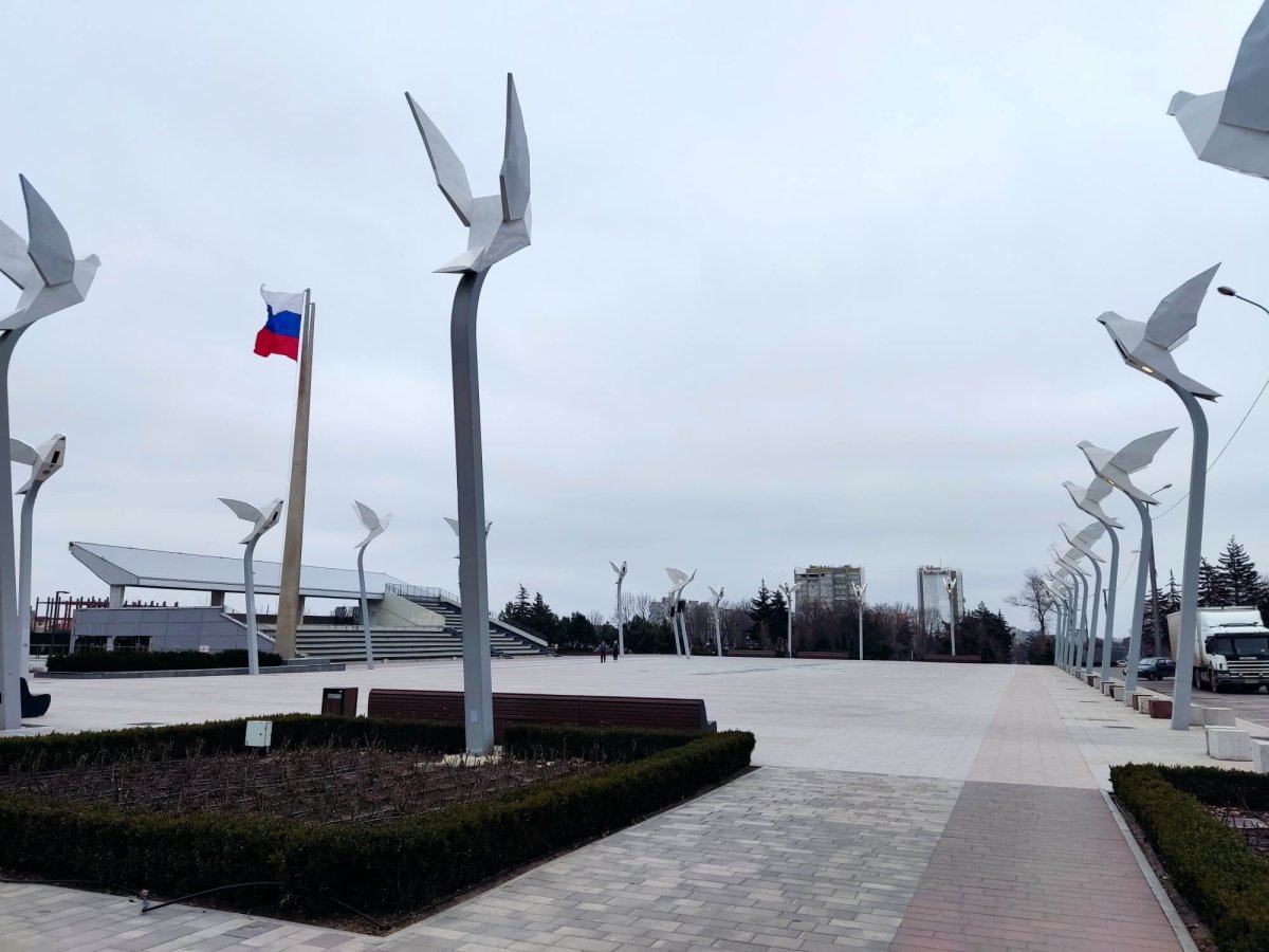 Стелла в Мариуполе птицы