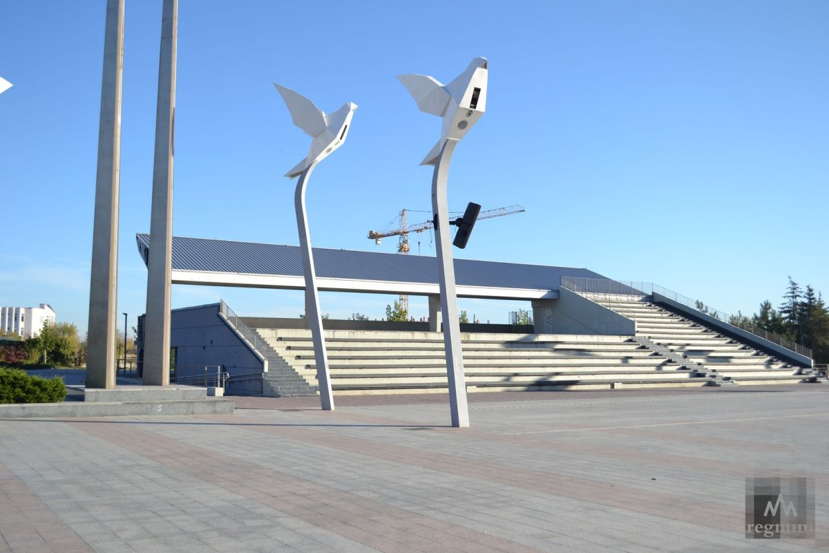 Мариуполь площадь с голубями