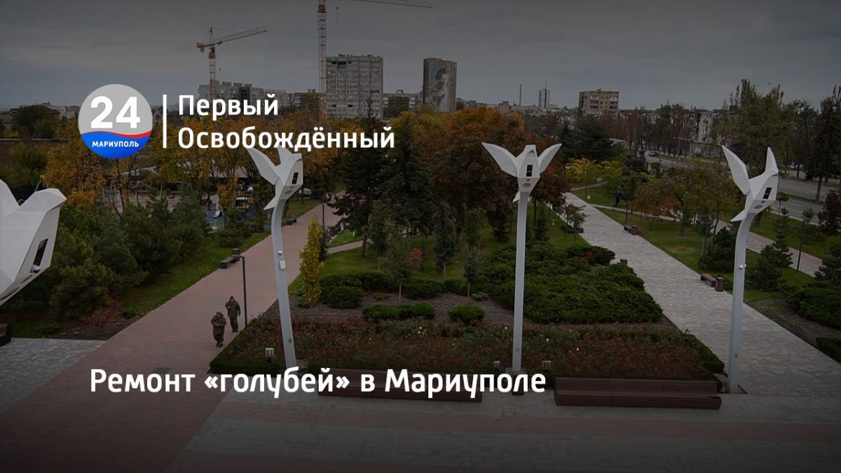 Мариуполь голуби