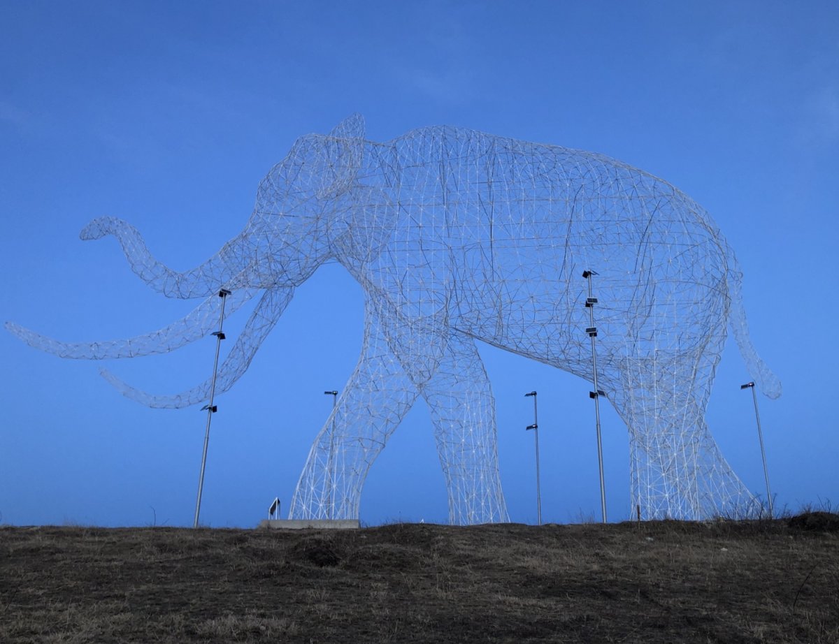 Арт объект слон Ставрополь
