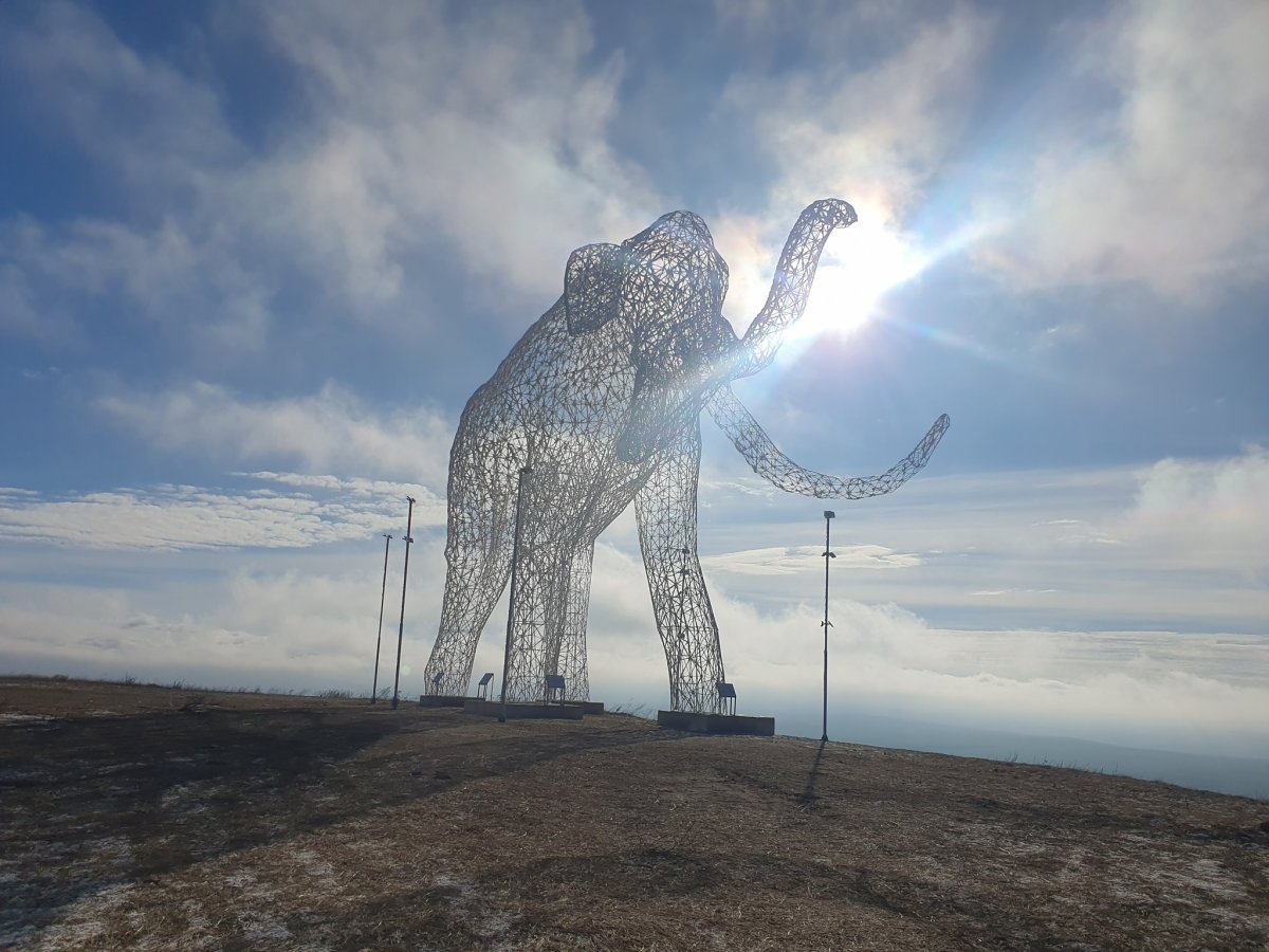 Памятник слону в Ставрополе