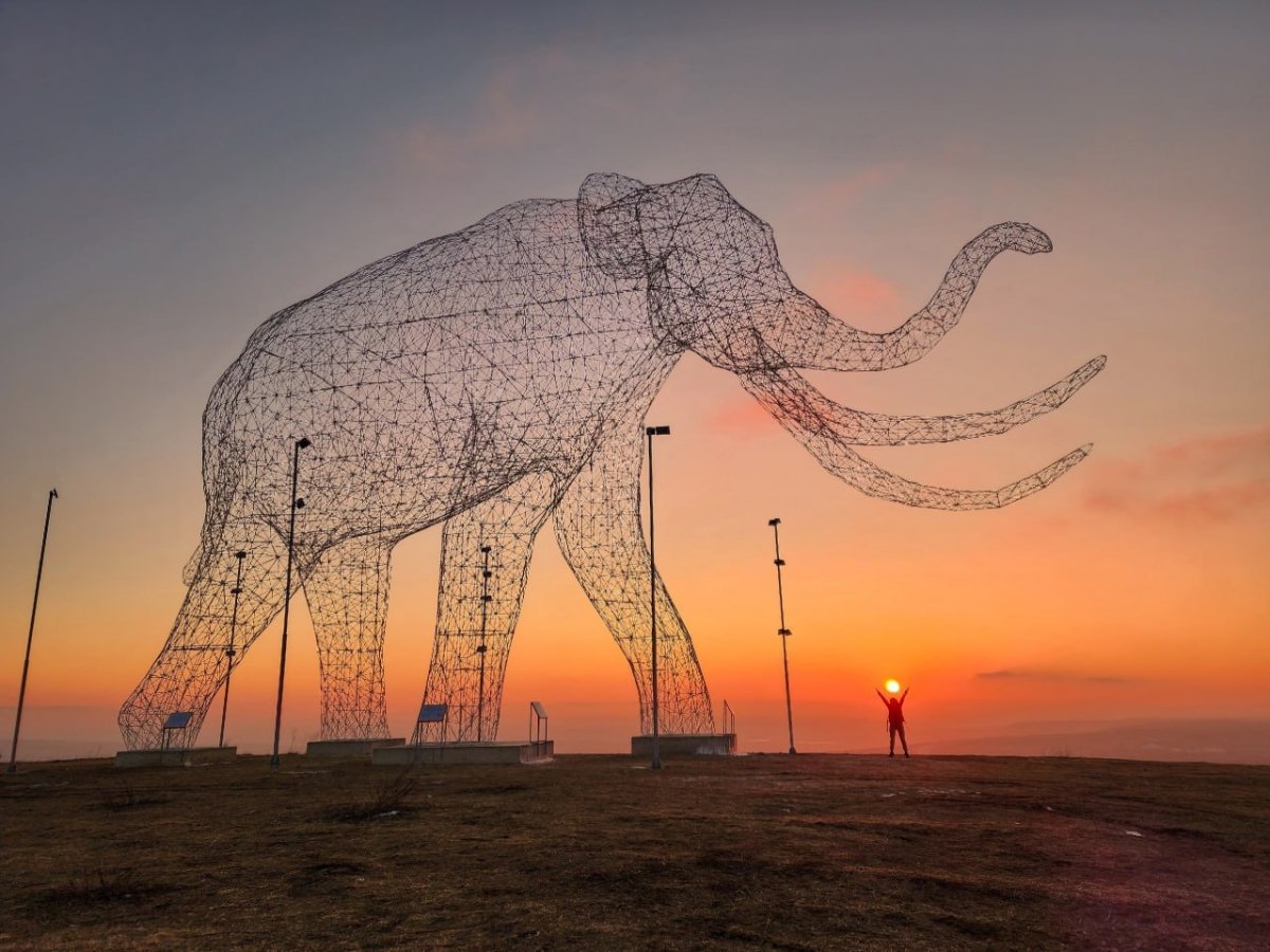 Слон Ставрополь Демино