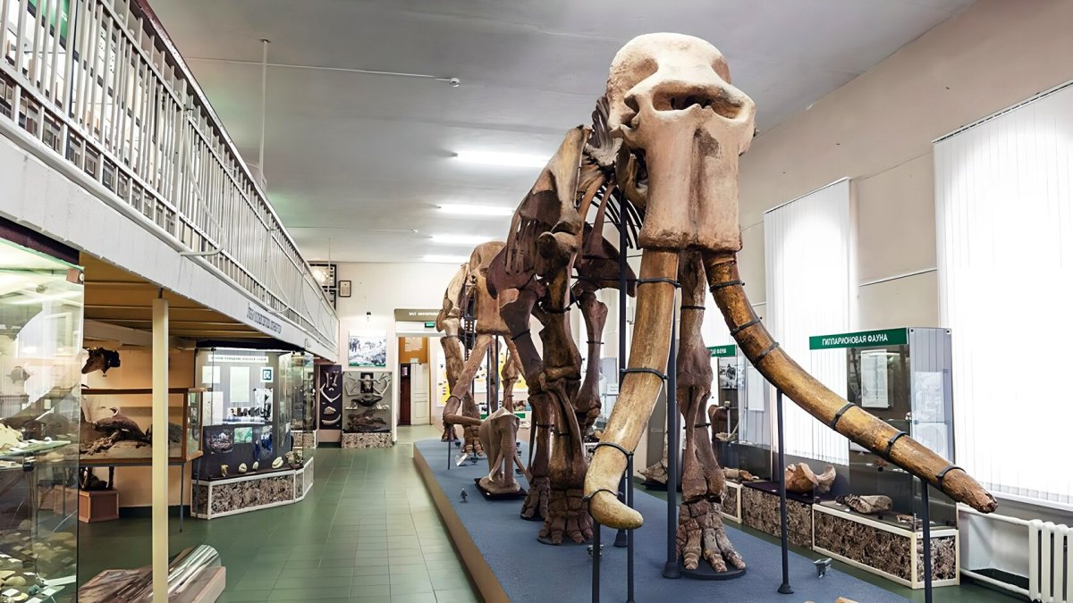 Ставропольский государственный краеведческий музей Ставрополь