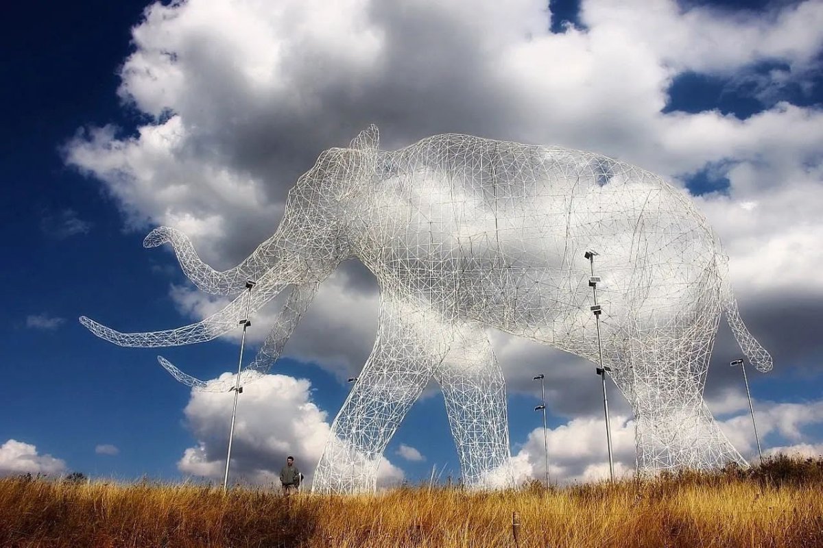 Мурмурация комариного гнуса