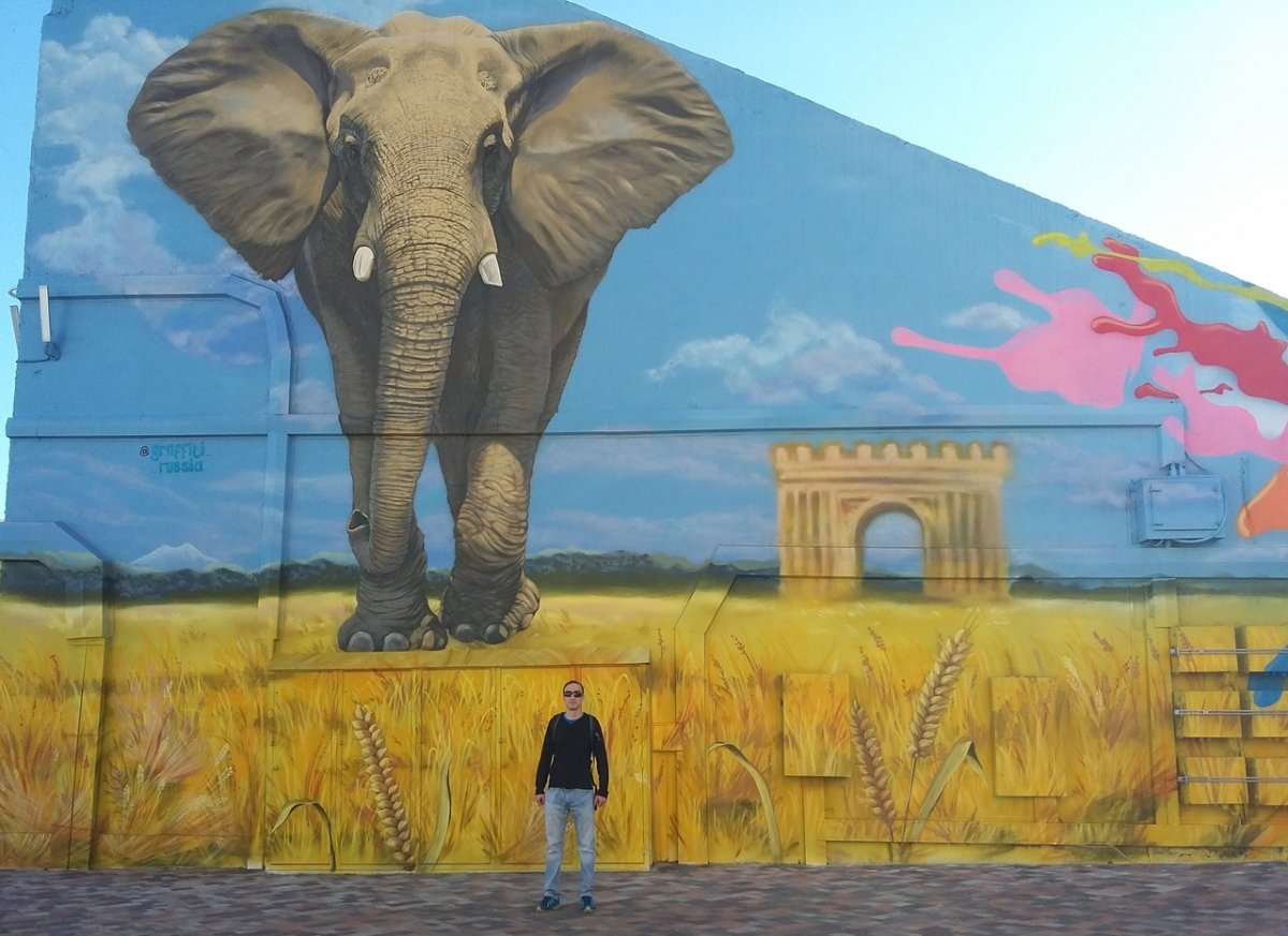 Южный слон в Ставропольском музее