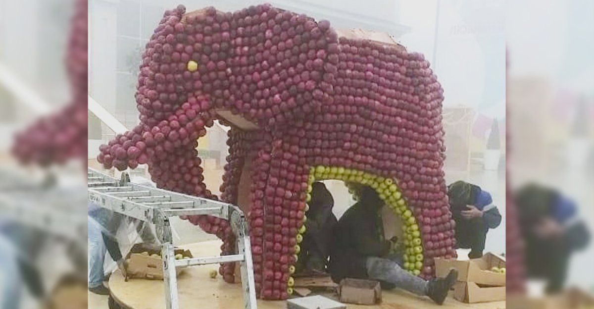 Ставропольский слон из яблок