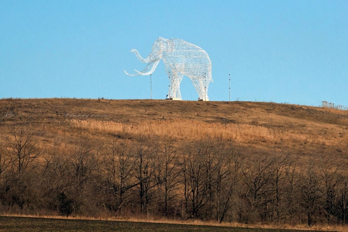 Статуя слона в Ставрополе