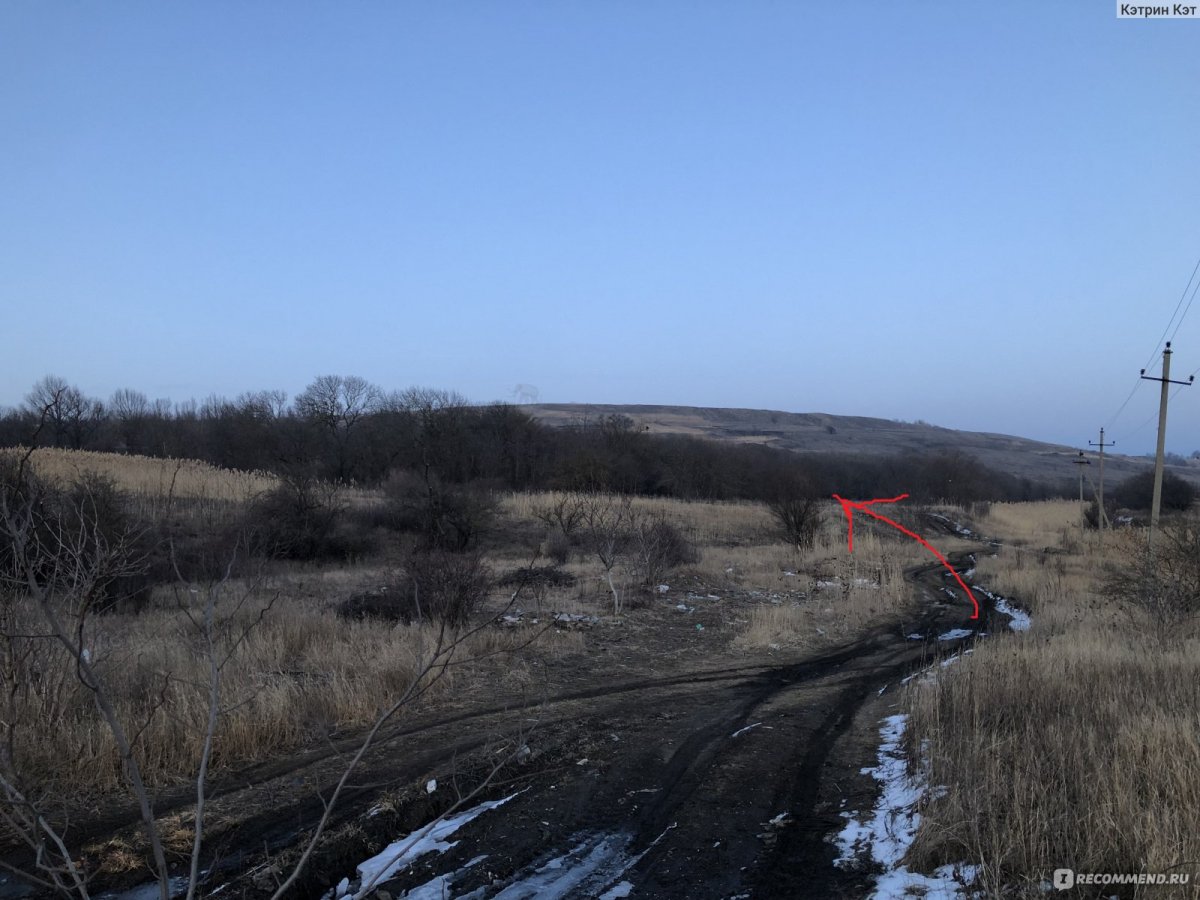 Ставропольский слон Демино