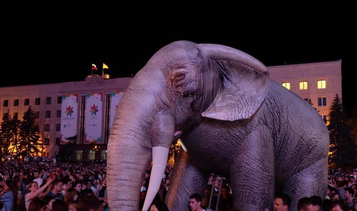 Ставрополь слоны