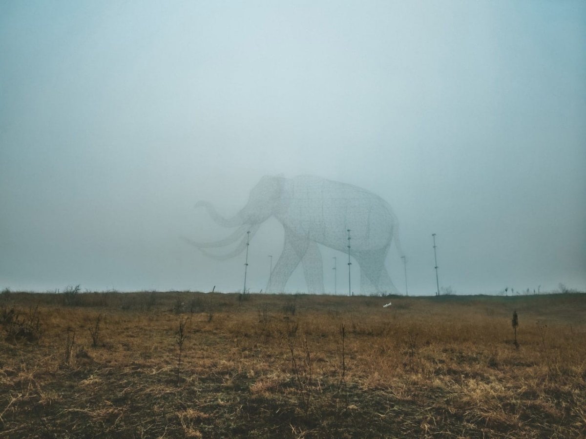 Арт объект слон Ставрополь