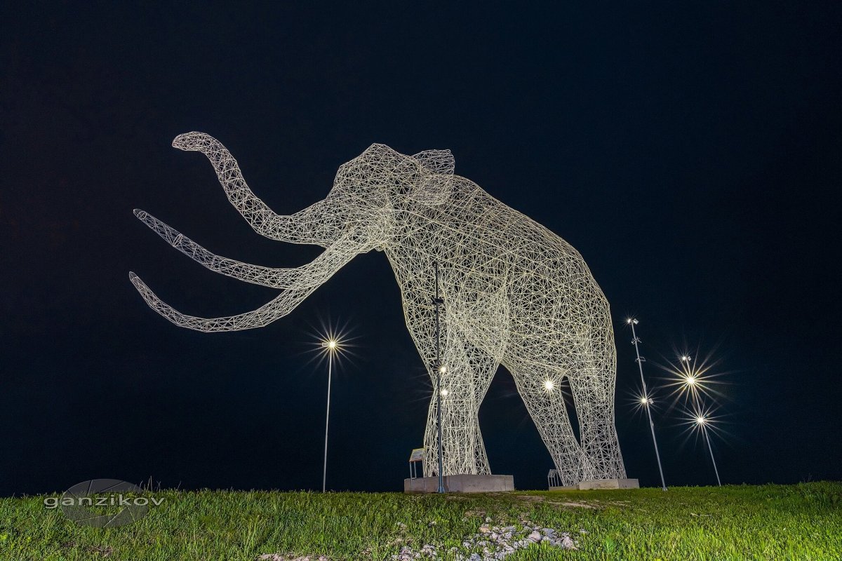 Арт объект слон Ставрополь