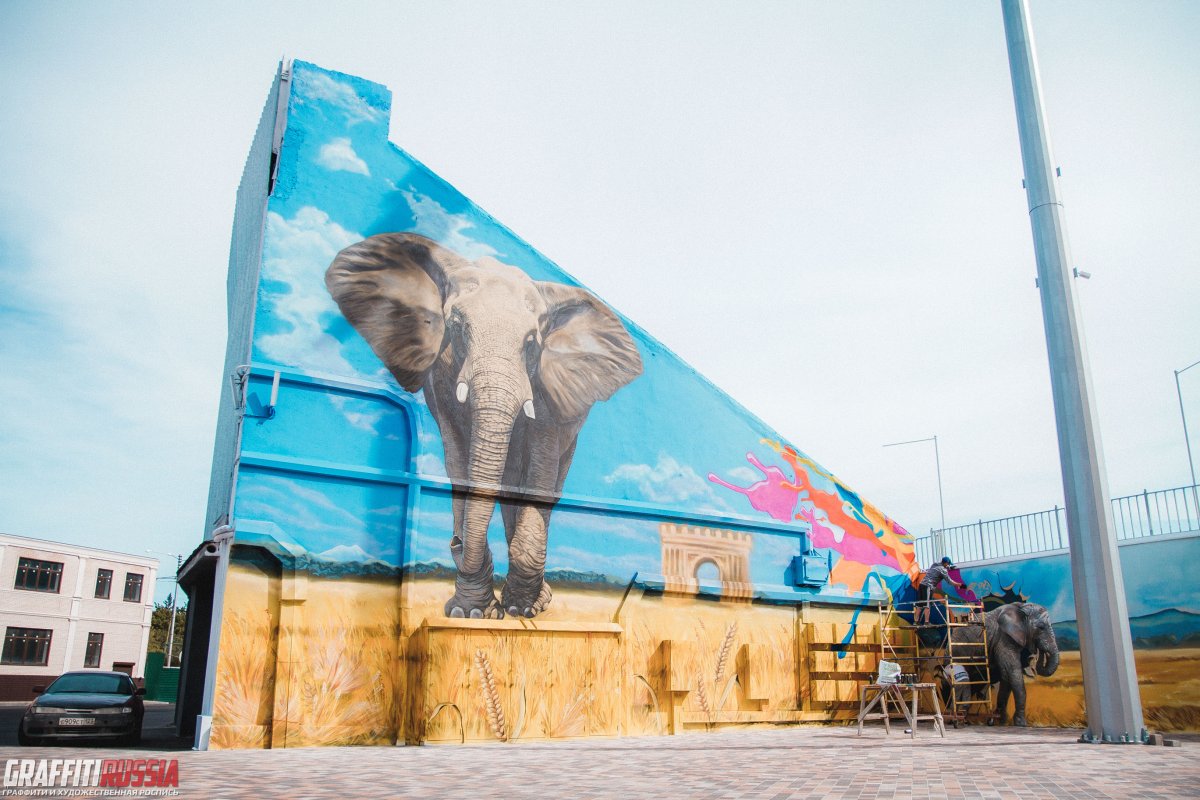 Стадион Динамо Ставрополь граффити слона