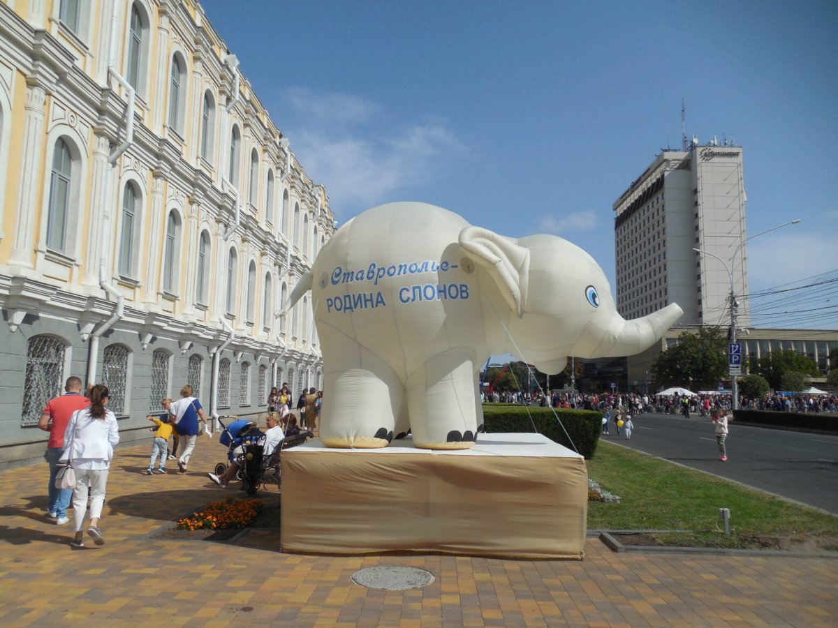 Город Ставрополь памятник слонам