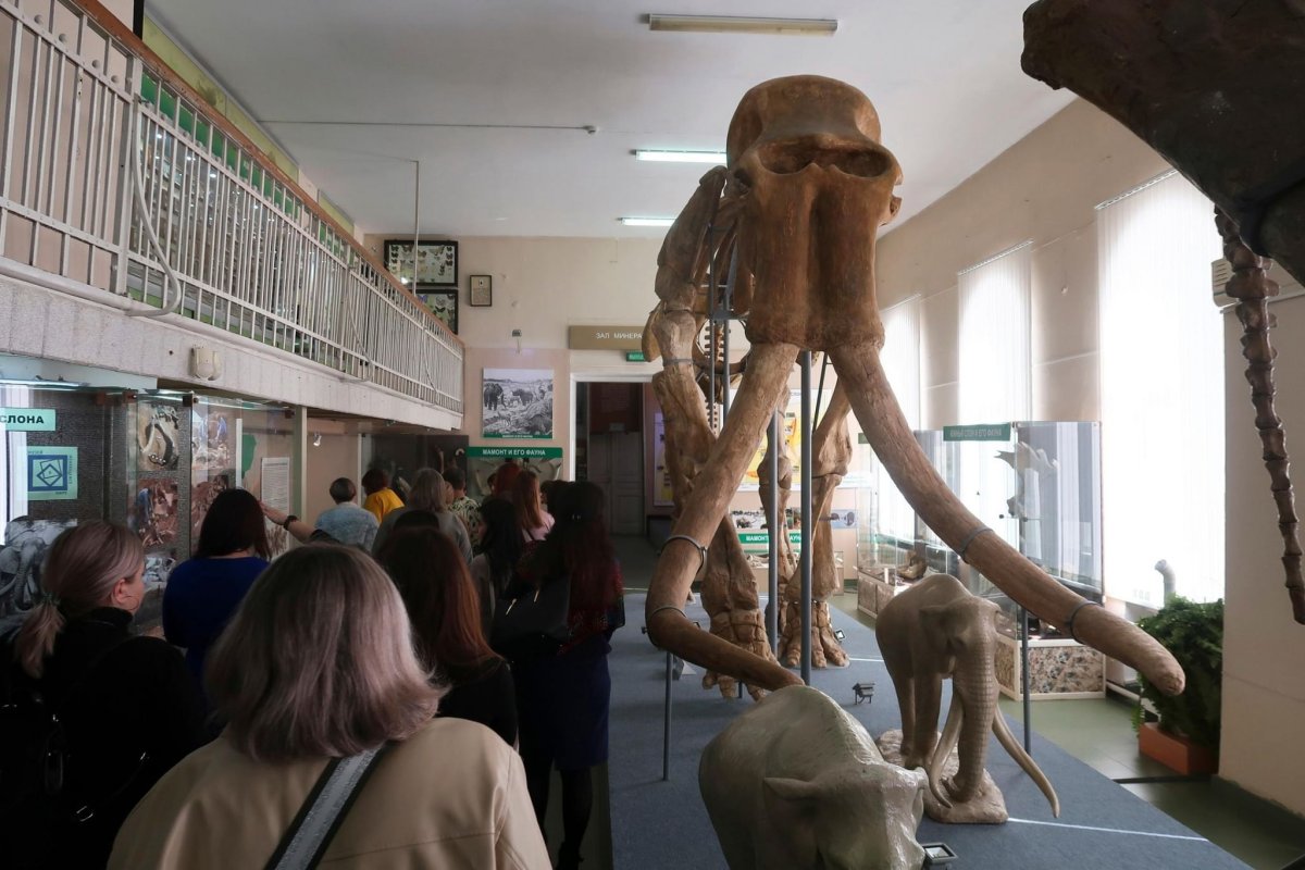 Ставрополь Родина слонов фото