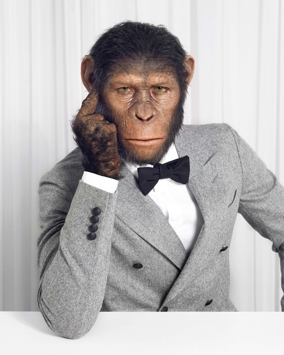 Костюм обезьяны