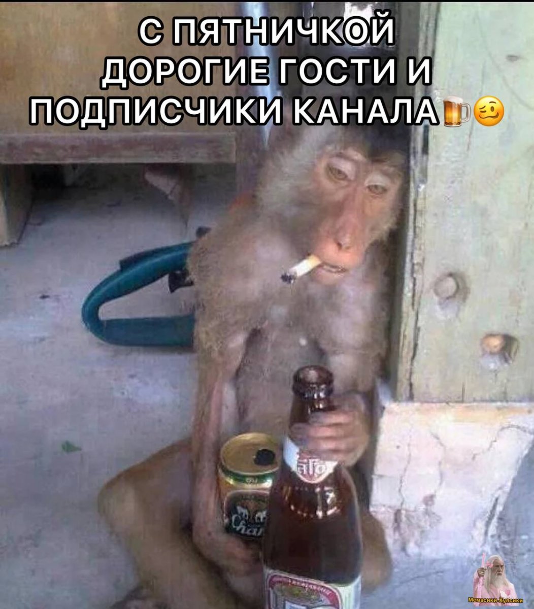 Мартышка с бутылкой