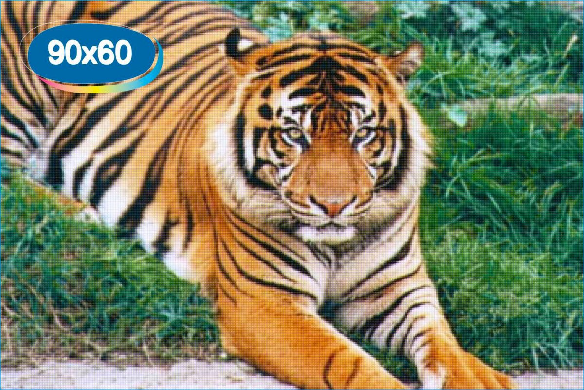 Золотой тигр