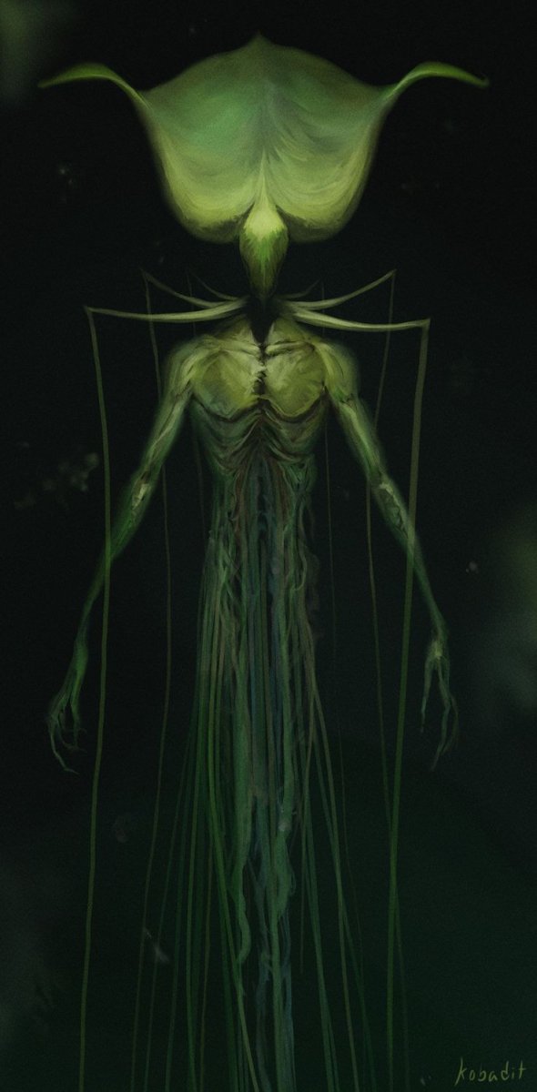 Глубоководный кальмар (кальмар-вампир)