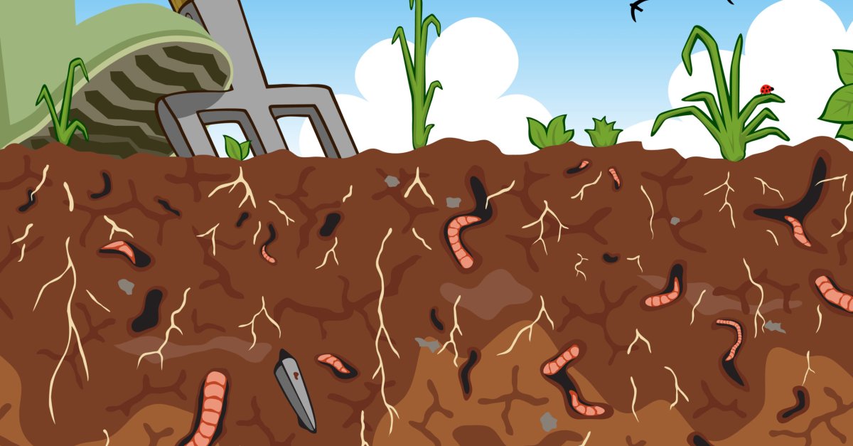 Ходы дождевых червей в почве