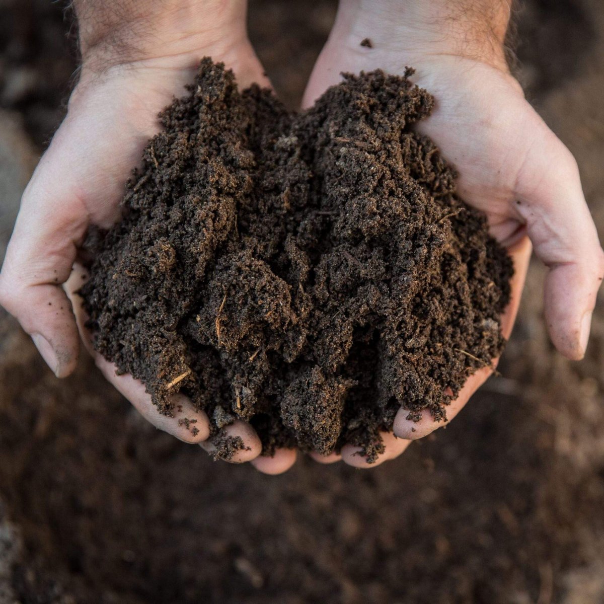Чернозем в руках