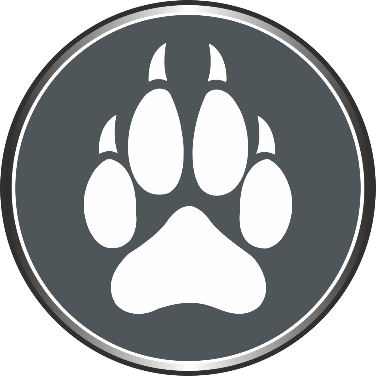 Лапа ягуара лапа ягуара