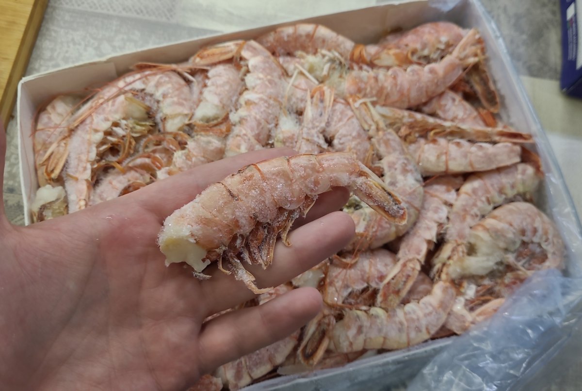 Скампи норвежский Омар
