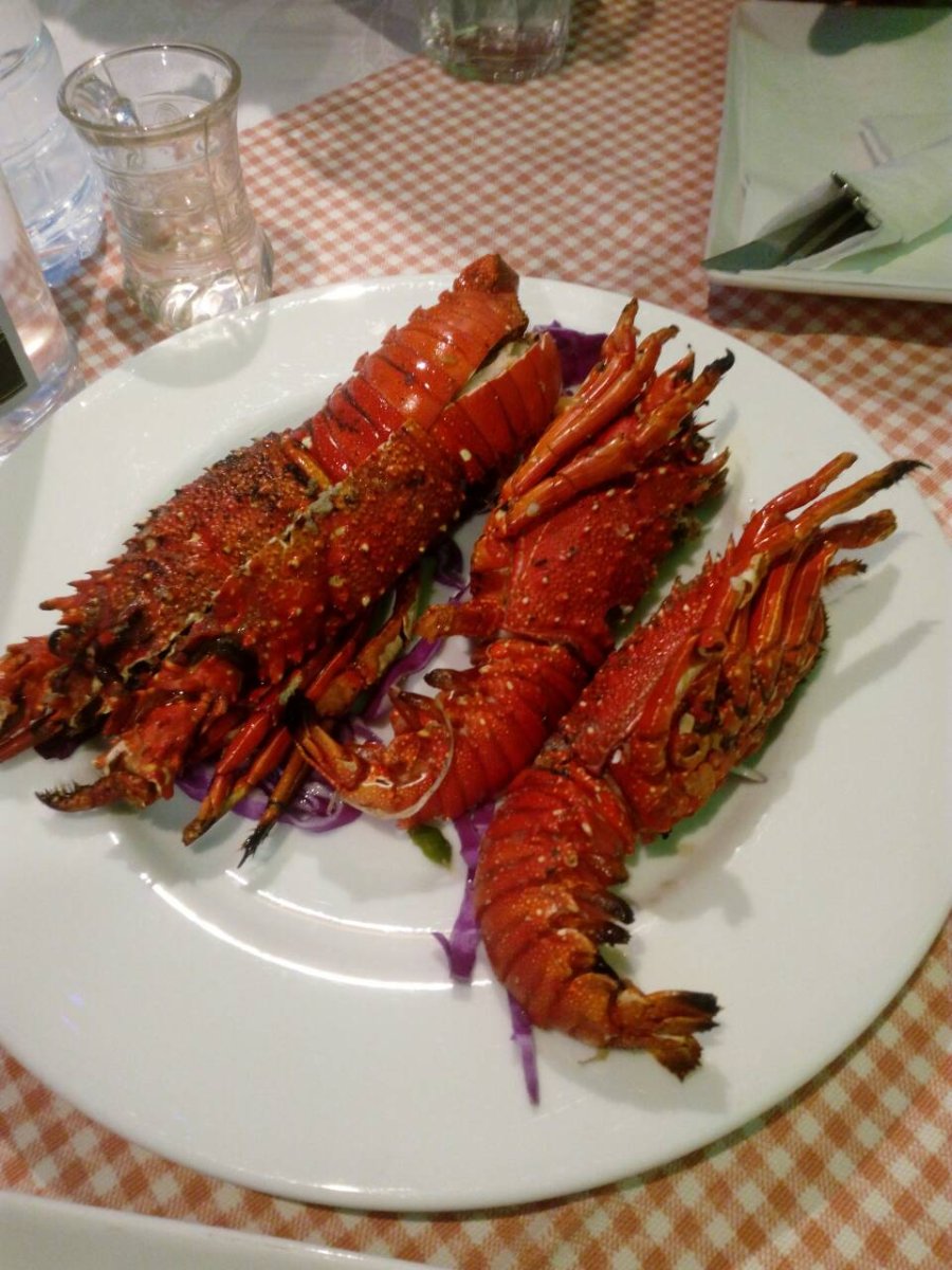 Кубинский лангуст