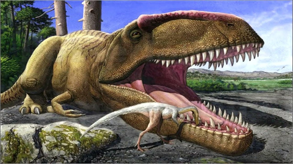 Giganotosaurus carolinii