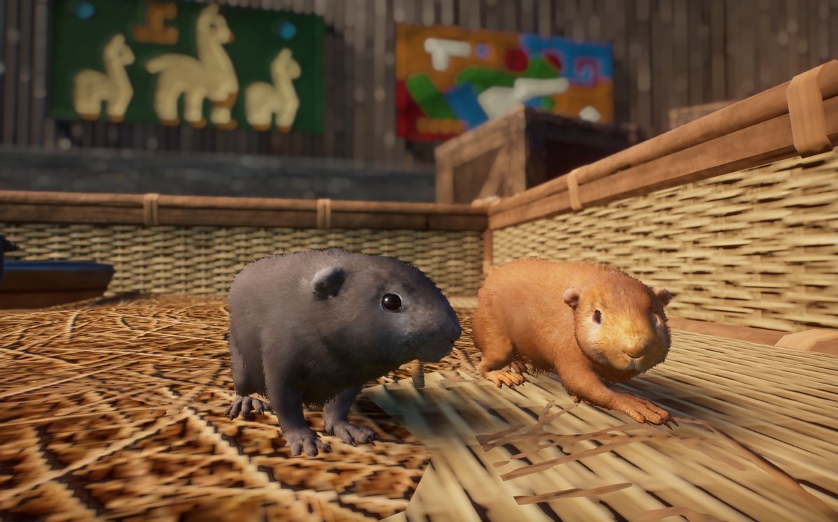 Planet Zoo морская Свинка