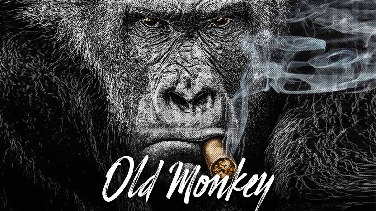 Курящая обезьяна