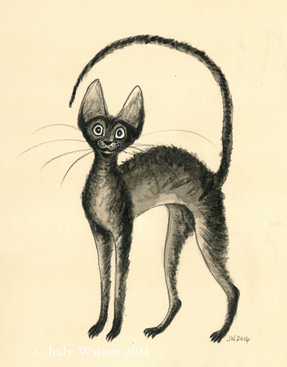 Корниш рекс котята