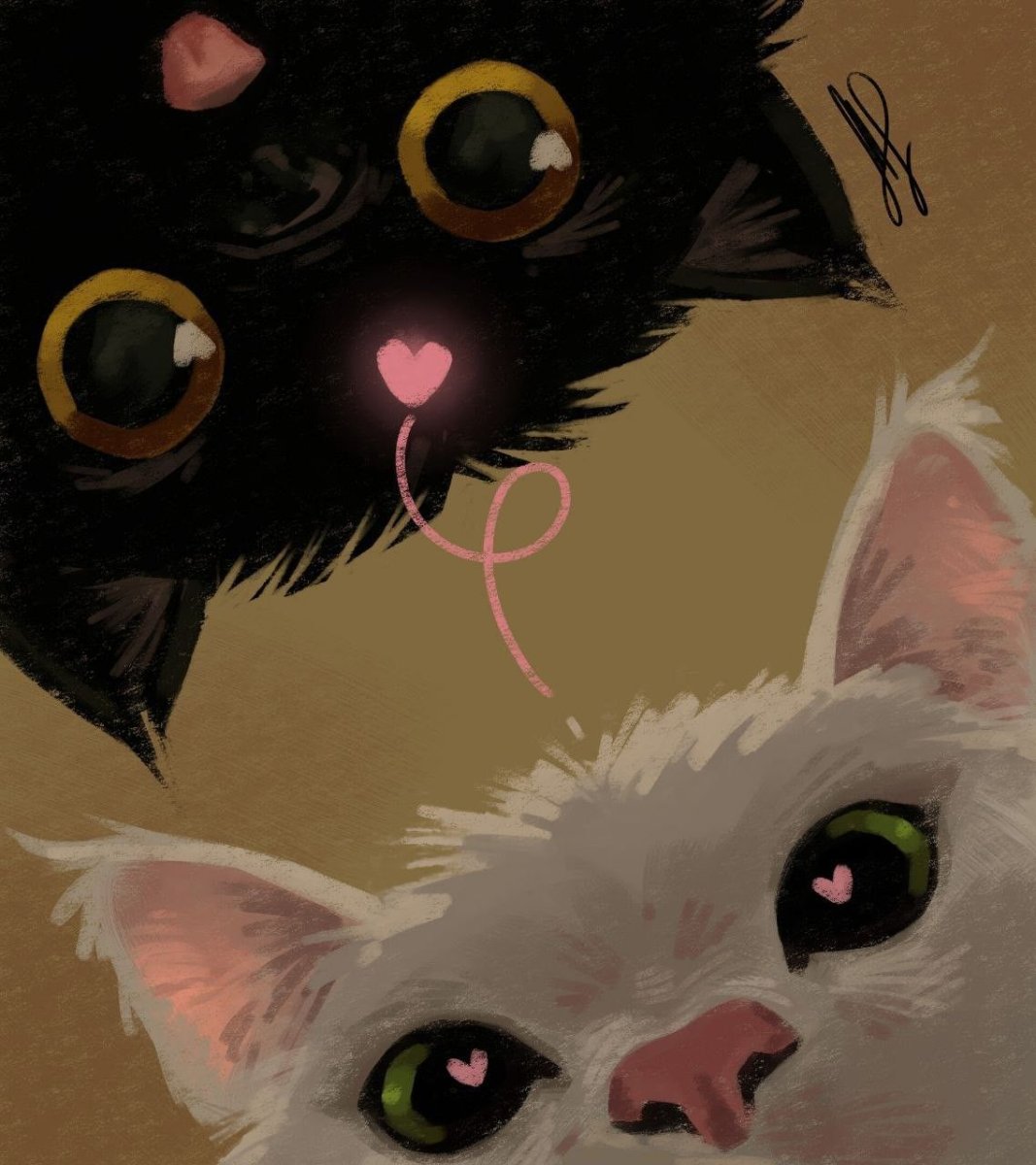 44 Cats Art