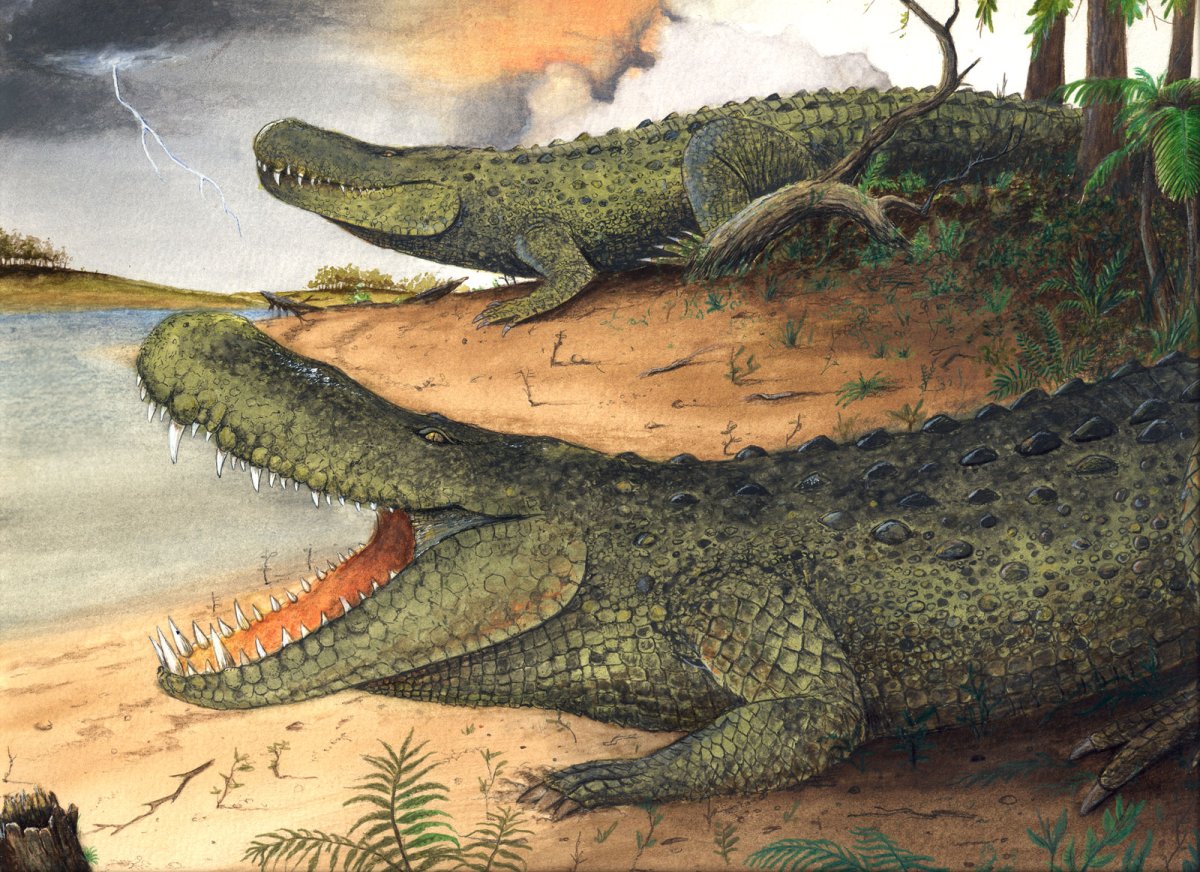 Предок крокодила