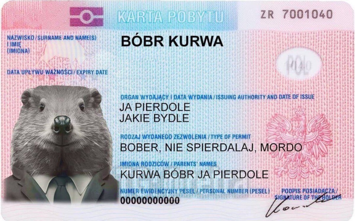 Паспорт бобра