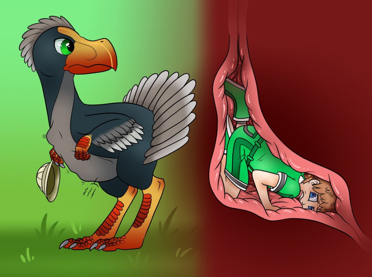 Bird Vore