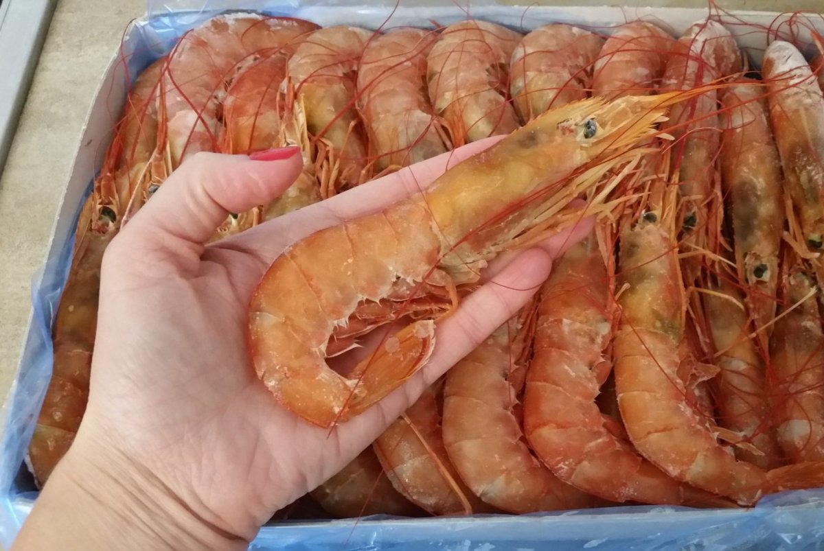 Лангустины и Королевские креветки