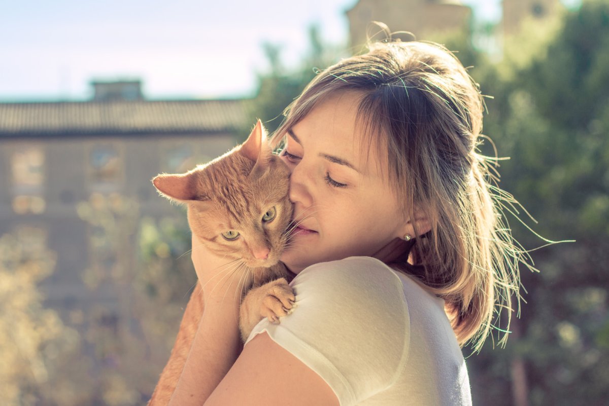 Cat girl lover