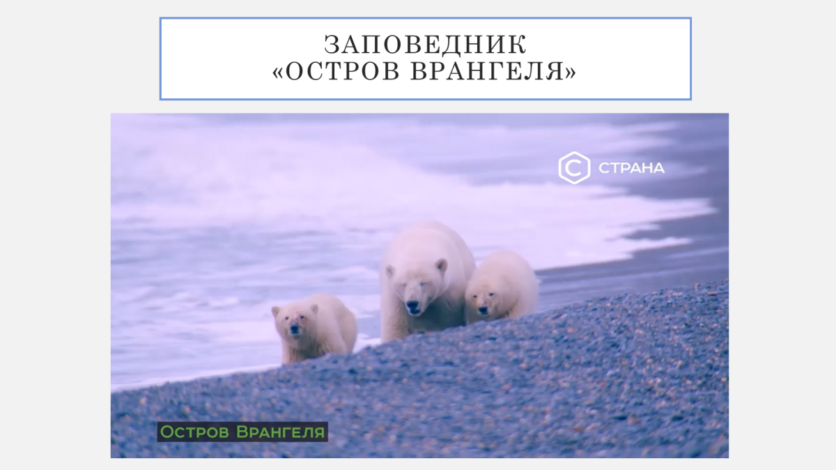 Зона арктических и не арктических пустынь