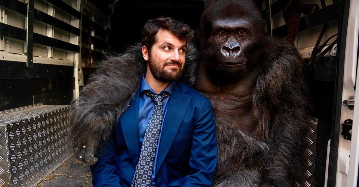Attenti al Gorilla фильм 2019