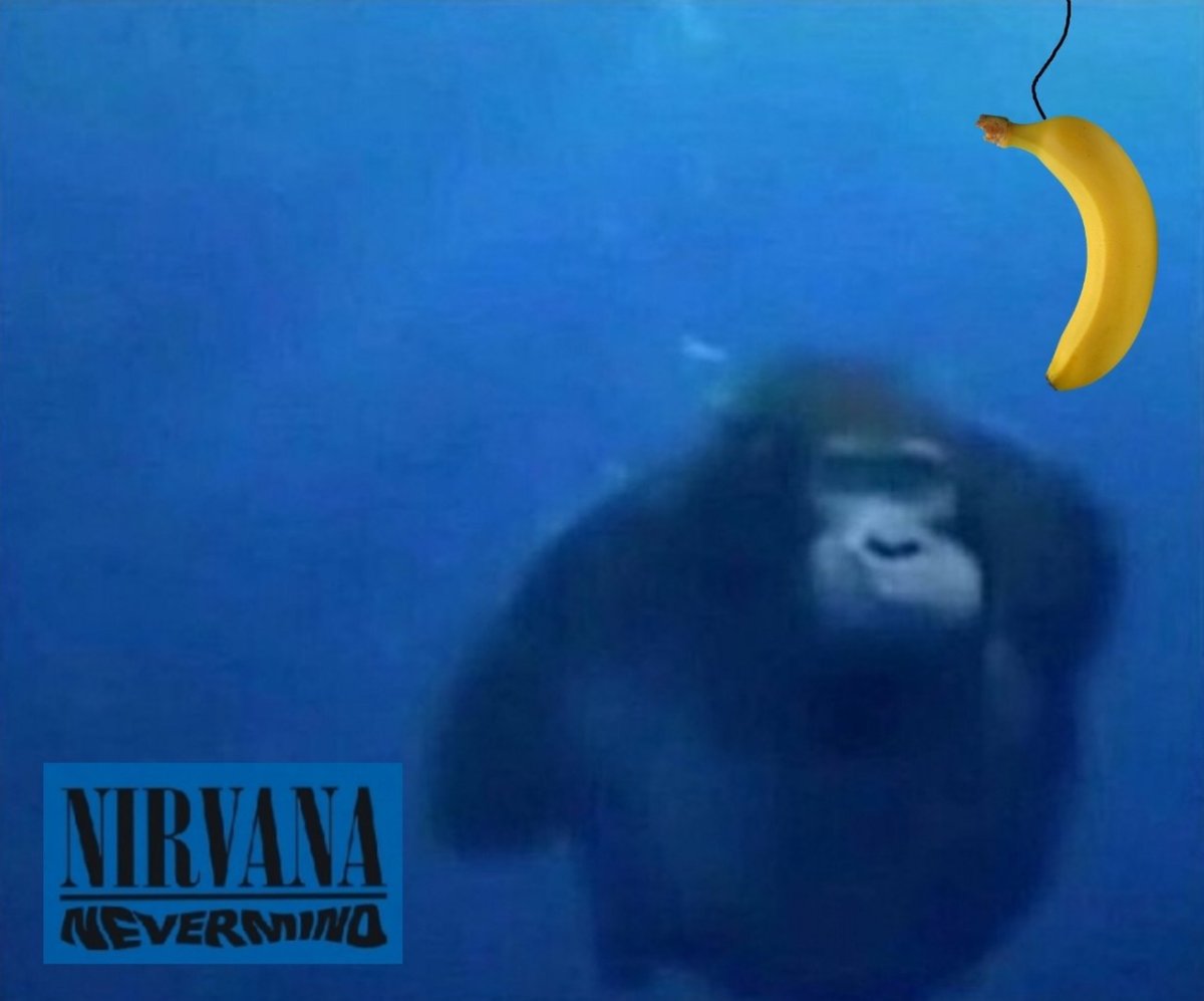 Обезьяна в воде плывет